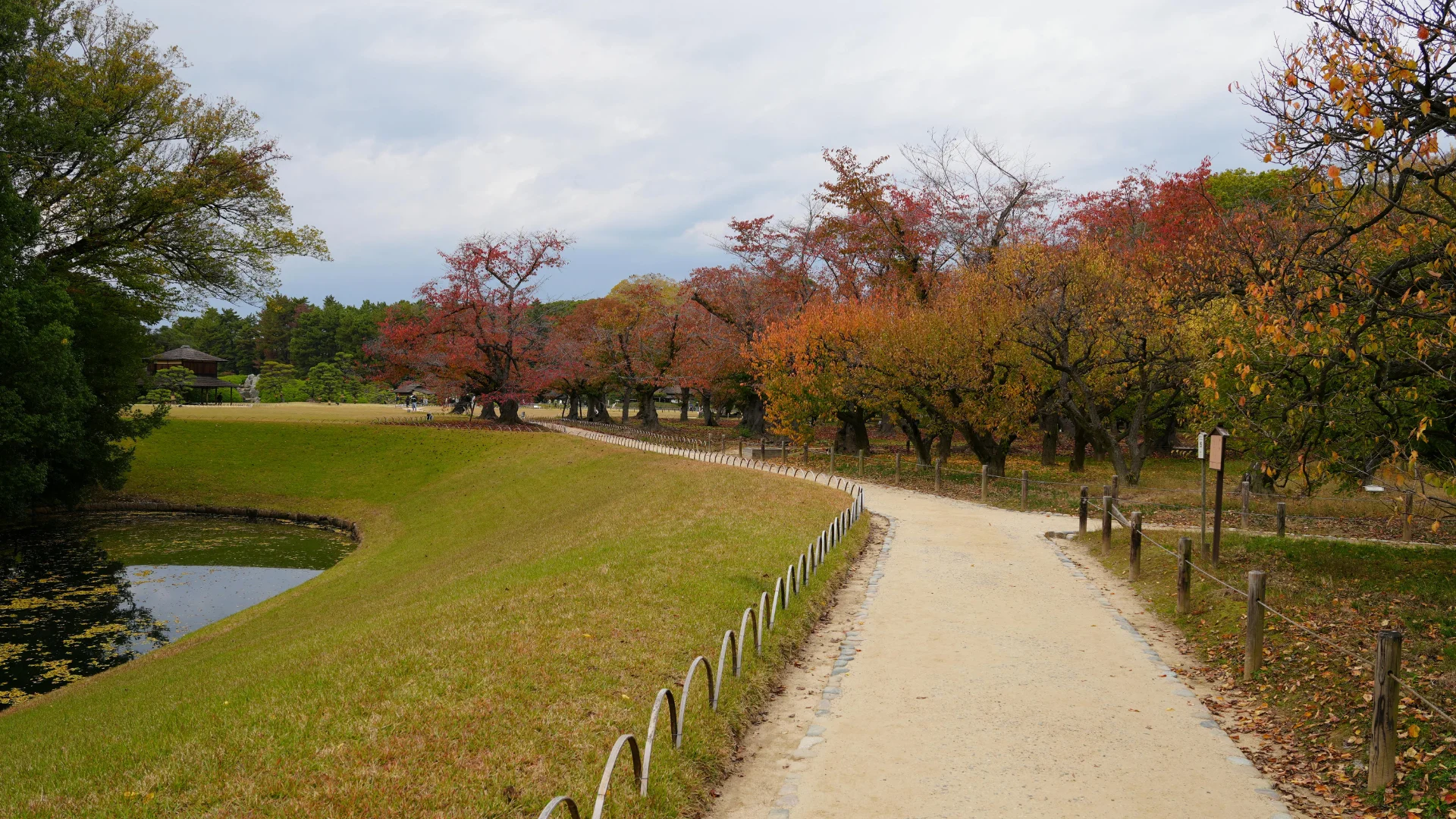きらりの活動風景3