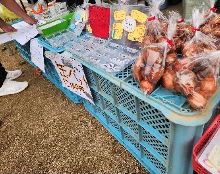 きらっと乗馬会