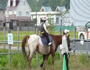 きらっと乗馬会