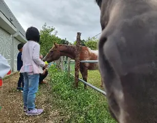 お馬たいけん会