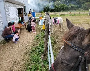 お馬たいけん会