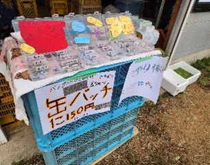 お馬たいけん会